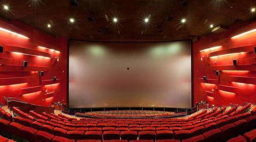 有家影院在线观看,有家影院在线观影新体验  第1张