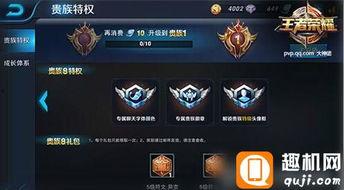 王者荣耀最新爆料贵族,神秘贵族生成系统揭秘 第3张 王者荣耀最新爆料贵族,神秘贵族生成系统揭秘 第3张